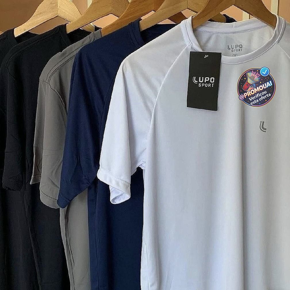 Camiseta Esportiva Lupo Masculina Dry Academia Confortável (M ao GG)