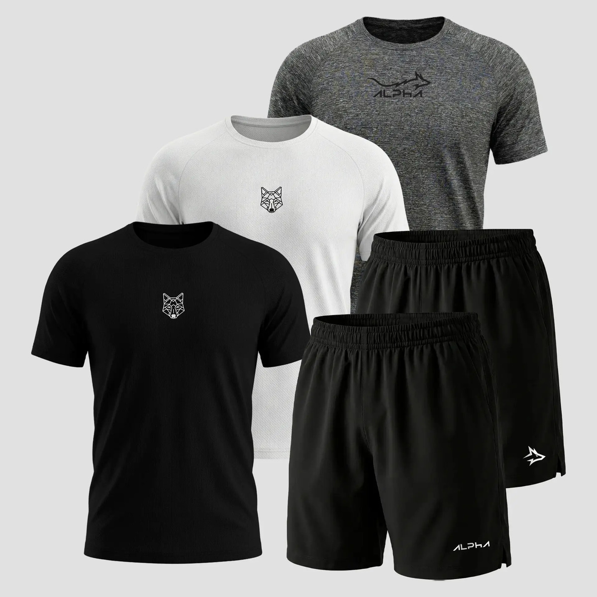 Kit 5 Pecas Dry 3 Camisetas E 2 Bermudas Alpha